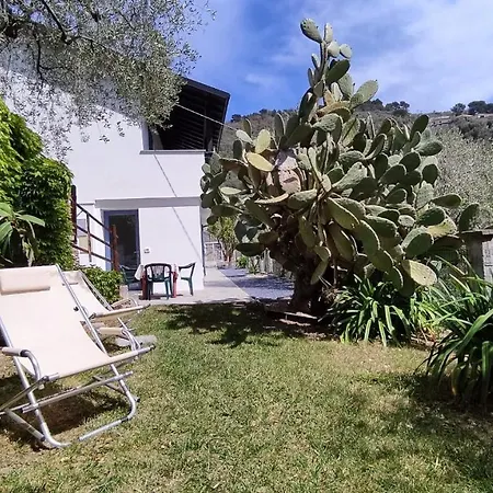 Alojamento de Turismo Rural Uliveto Diano San Pietro