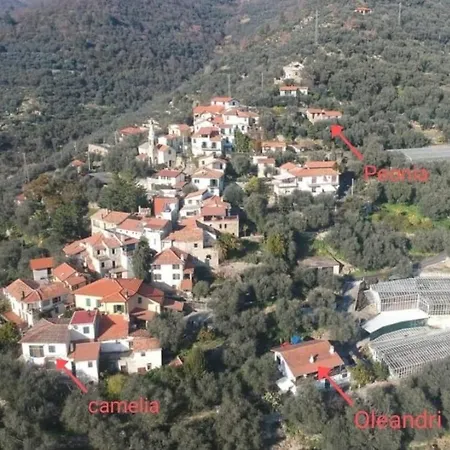 Uliveto Diano San Pietro