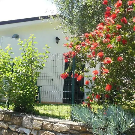 Фермерский дом Uliveto Diano San Pietro