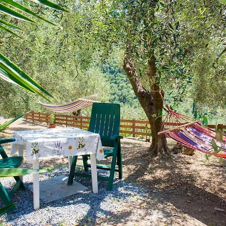 Uliveto Diano San Pietro