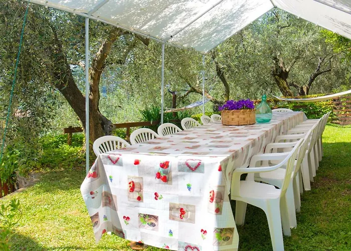 Uliveto * Diano San Pietro