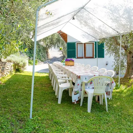 Uliveto * Diano San Pietro