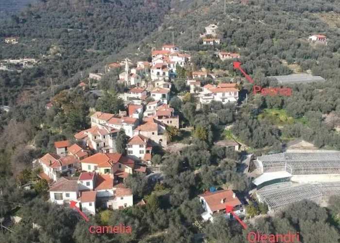 Uliveto Diano San Pietro