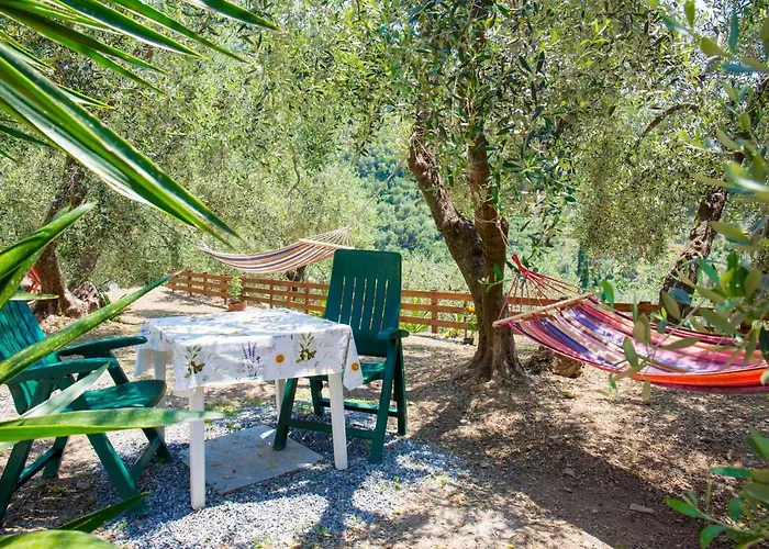 Uliveto Diano San Pietro