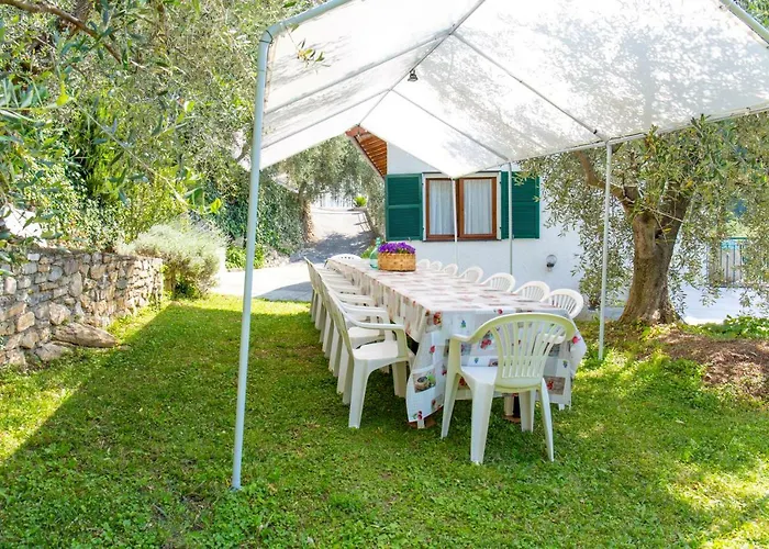 Uliveto * Diano San Pietro